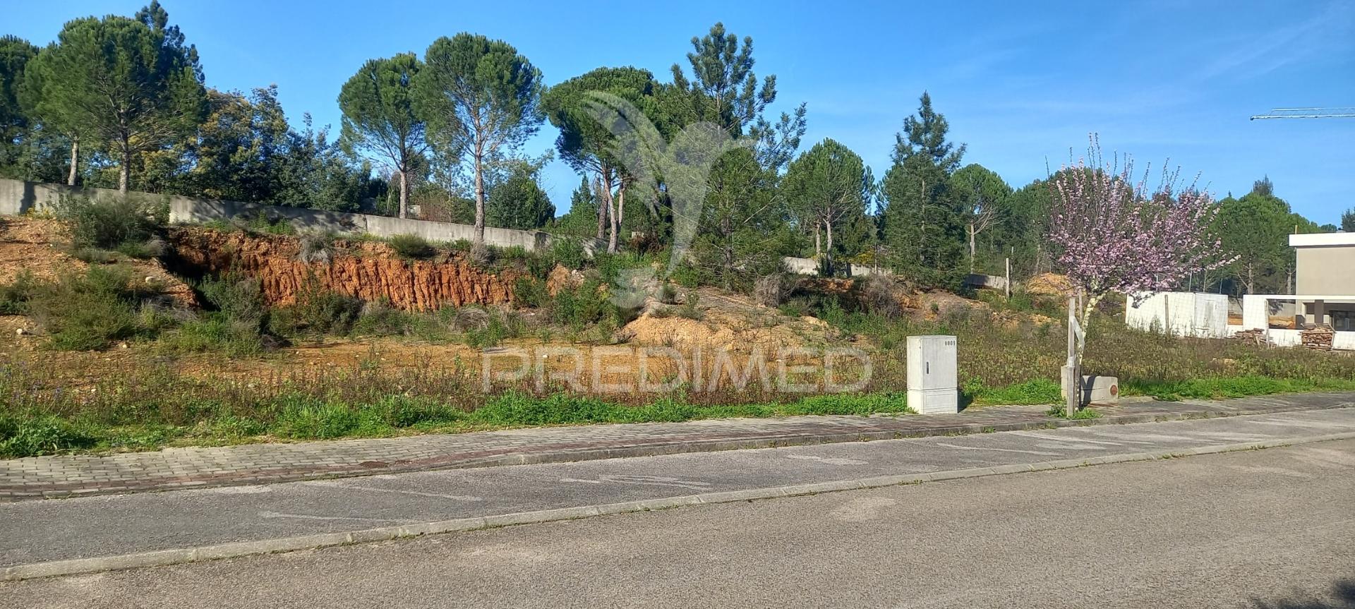 Lote de moradia