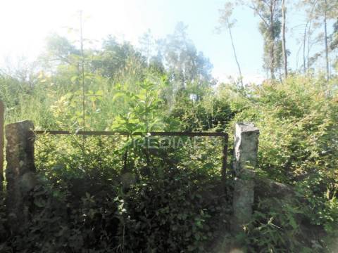 Terreno em gême, vila verde - braga