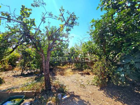 Moradia t3 com quintal em castro verde