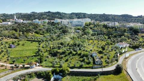 Quinta junto à cidade de portalegre