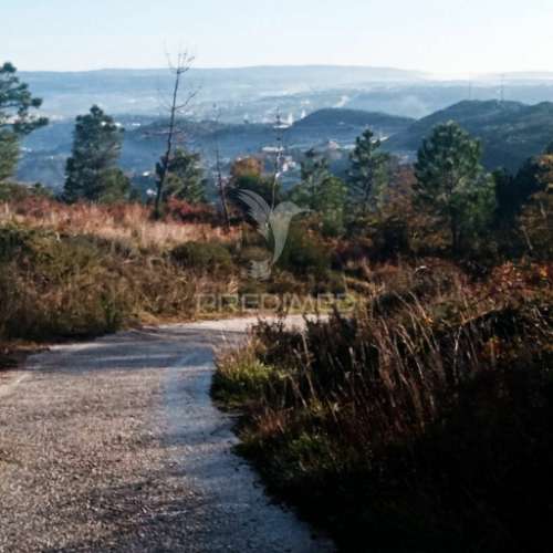 Terreno c/ 1,8 ha junto ao nó da a24/ip4 - 6 kms de vila real