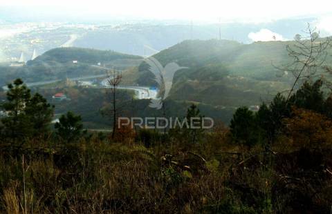 Terreno c/ 1,8 ha junto ao nó da a24/ip4 - 6 kms de vila real