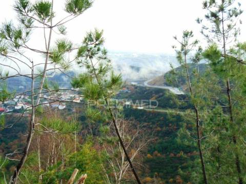 Terreno c/ 1,8 ha junto ao nó da a24/ip4 - 6 kms de vila real