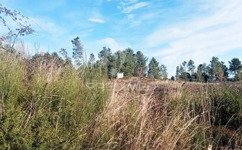Terreno c/ 1,8 ha junto ao nó da a24/ip4 - 6 kms de vila real