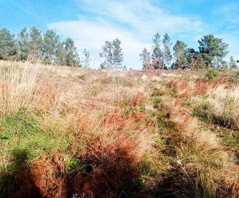 Terreno c/ 1,8 ha junto ao nó da a24/ip4 - 6 kms de vila real