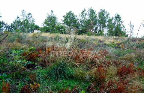 Terreno c/ 1,8 ha junto ao nó da a24/ip4 - 6 kms de vila real