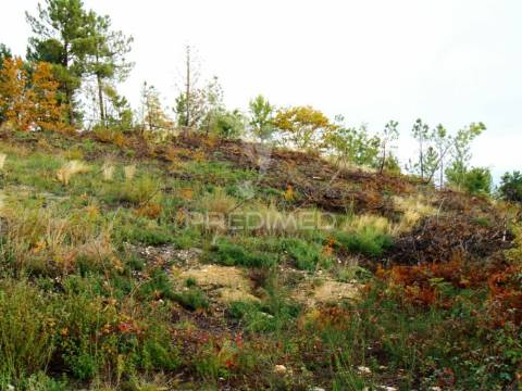 Terreno c/ 1,8 ha junto ao nó da a24/ip4 - 6 kms de vila real