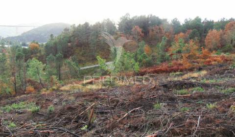 Terreno c/ 1,8 ha junto ao nó da a24/ip4 - 6 kms de vila real