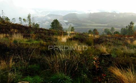 Terreno c/ 1,8 ha junto ao nó da a24/ip4 - 6 kms de vila real