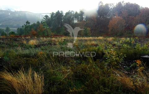 Terreno c/ 1,8 ha junto ao nó da a24/ip4 - 6 kms de vila real