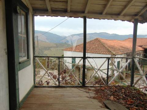 Quinta 14ha - região demarcada do douro vinhateiro