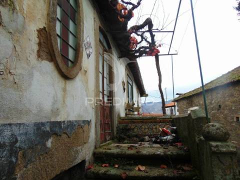 Quinta 14ha - região demarcada do douro vinhateiro