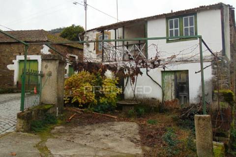 Quinta 14ha - região demarcada do douro vinhateiro