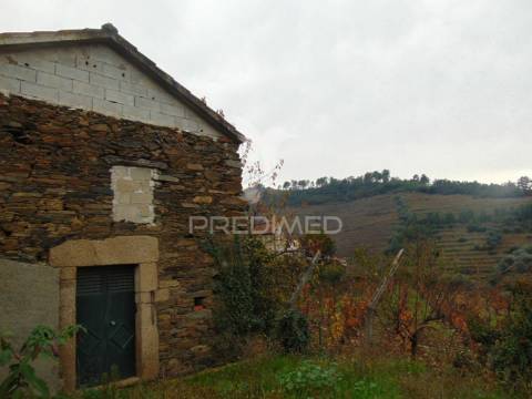 Quinta 14ha - região demarcada do douro vinhateiro