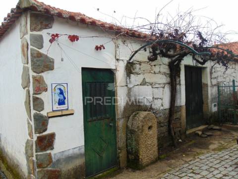 Quinta 14ha - região demarcada do douro vinhateiro