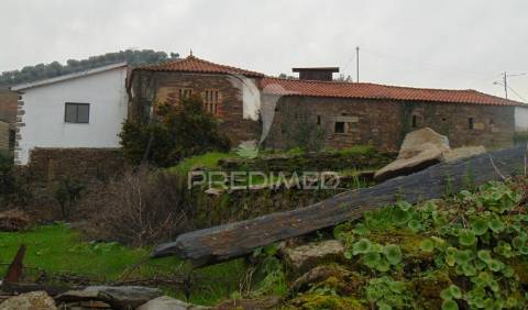 Quinta 14ha - região demarcada do douro vinhateiro