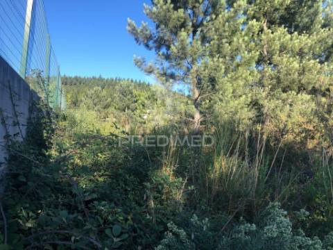Terreno industrial em pelariga