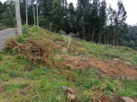 Terreno para construção vista mar em santa cruz - madeira