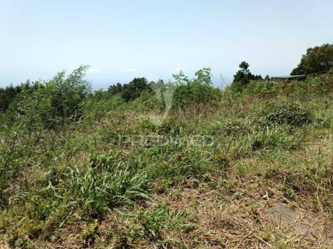 Terreno para construção vista mar em santa cruz - madeira