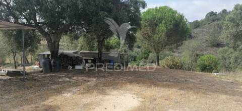 Quinta agrícola na urra - portalegre