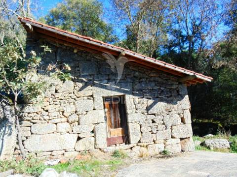 Moinhos c/ terreno de 6 ha junto ao santuário de panoias