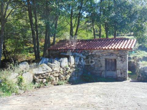Moinhos c/ terreno de 6 ha junto ao santuário de panoias