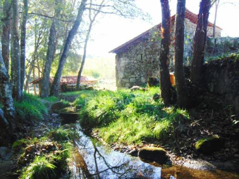 Moinhos c/ terreno de 6 ha junto ao santuário de panoias