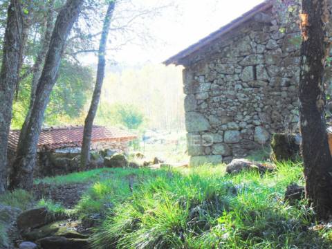 Moinhos c/ terreno de 6 ha junto ao santuário de panoias
