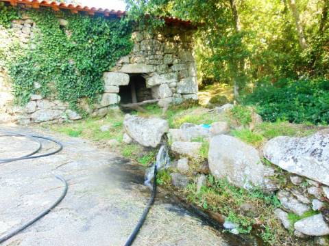 Moinhos c/ terreno de 6 ha junto ao santuário de panoias