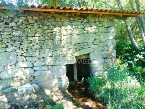 Moinhos c/ terreno de 6 ha junto ao santuário de panoias