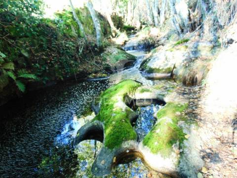 Moinhos c/ terreno de 6 ha junto ao santuário de panoias