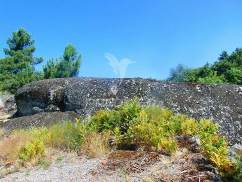 Moinhos c/ terreno de 6 ha junto ao santuário de panoias