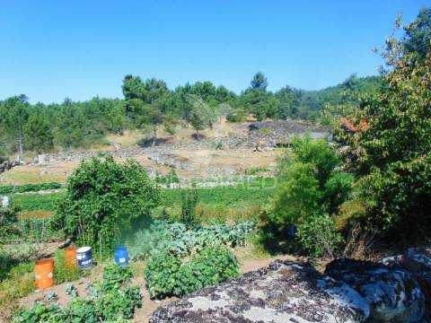 Moinhos c/ terreno de 6 ha junto ao santuário de panoias