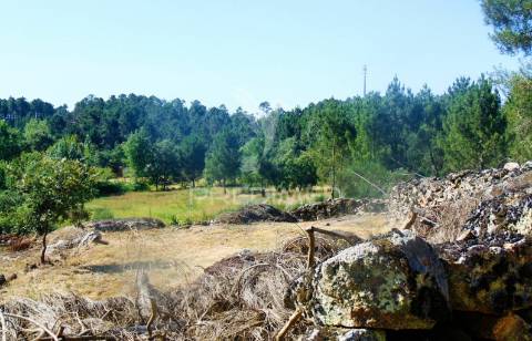Moinhos c/ terreno de 6 ha junto ao santuário de panoias