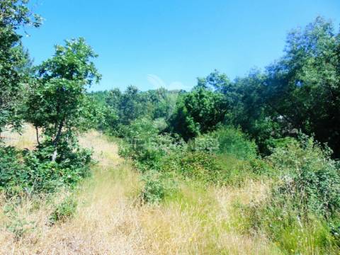 Moinhos c/ terreno de 6 ha junto ao santuário de panoias
