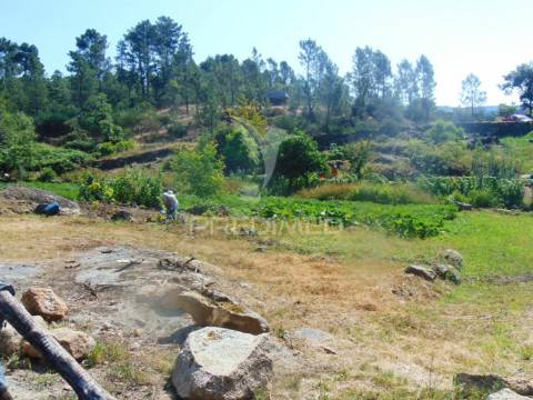 Moinhos c/ terreno de 6 ha junto ao santuário de panoias