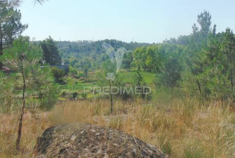 Moinhos c/ terreno de 6 ha junto ao santuário de panoias