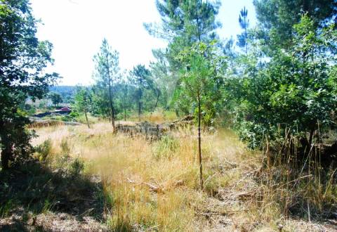 Moinhos c/ terreno de 6 ha junto ao santuário de panoias
