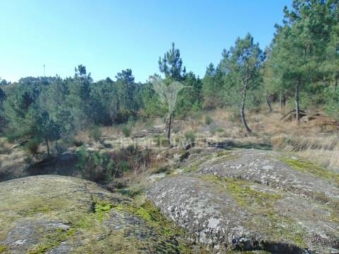 Moinhos c/ terreno de 6 ha junto ao santuário de panoias