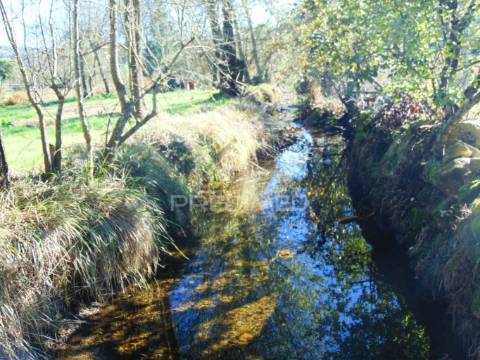 Moinhos c/ terreno de 6 ha junto ao santuário de panoias