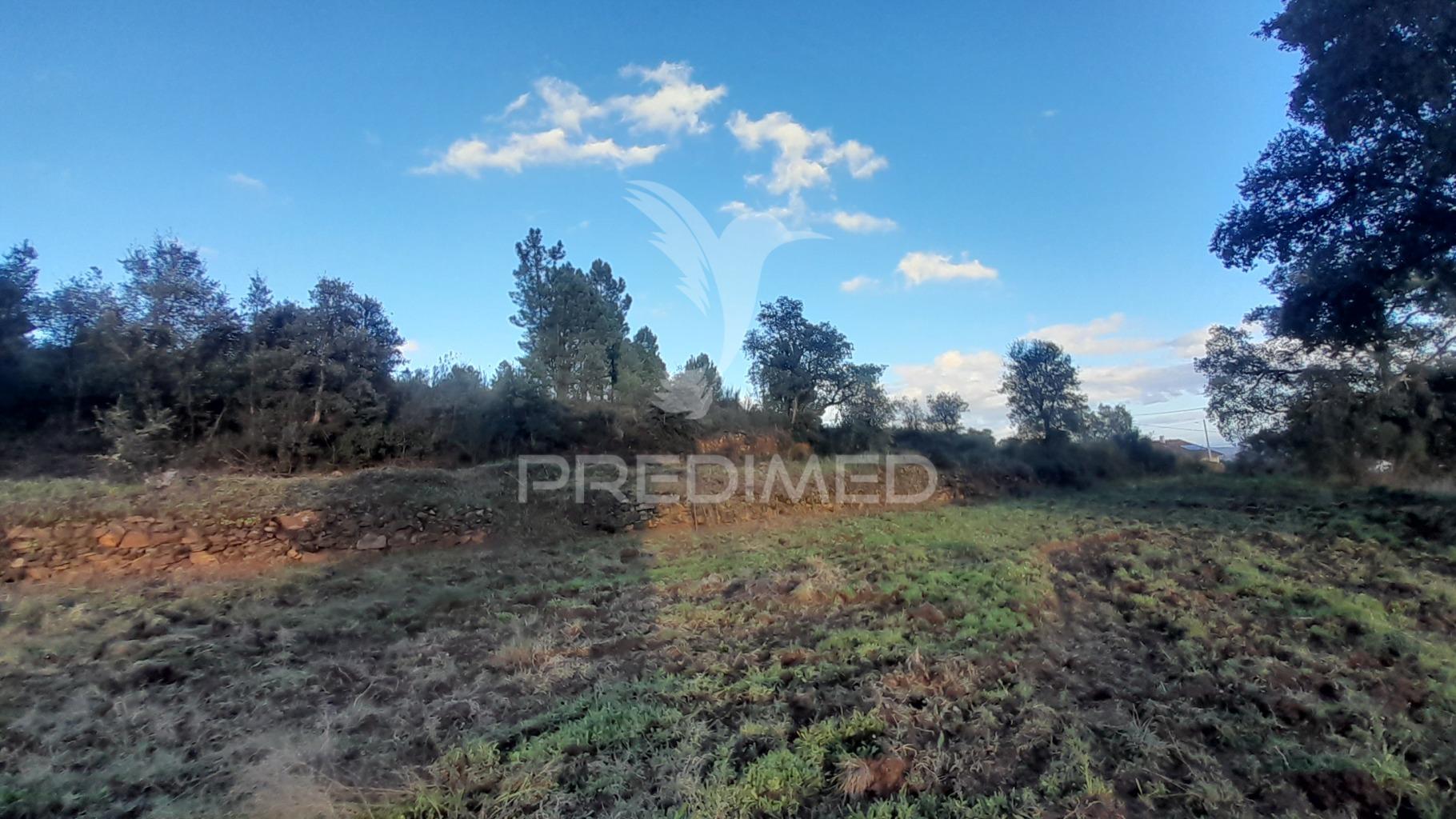 Terreno agroflorestal c/ sobreiros