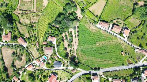 Terreno rustico em aboim (construtivel) - amarante