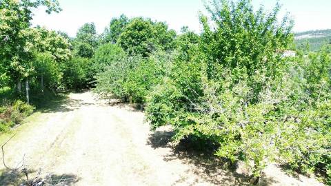 Terreno rustico em aboim (construtivel) - amarante