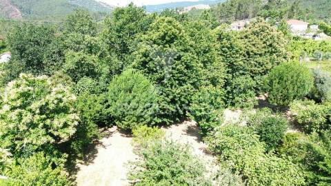 Terreno rustico em aboim (construtivel) - amarante