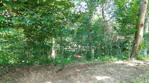 Terreno rustico em aboim (construtivel) - amarante