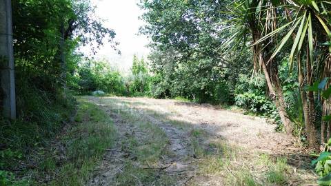 Terreno rustico em aboim (construtivel) - amarante