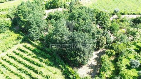 Terreno rustico em aboim (construtivel) - amarante