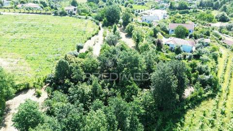 Terreno rustico em aboim (construtivel) - amarante
