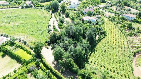 Terreno rustico em aboim (construtivel) - amarante