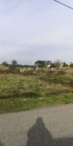 Grande terreno em ral2, para atividades económicas sintra